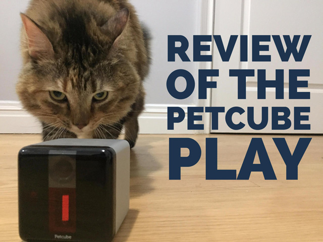 Petcube Play Monitor Review: Fun for Pets and&nbsp;Owners