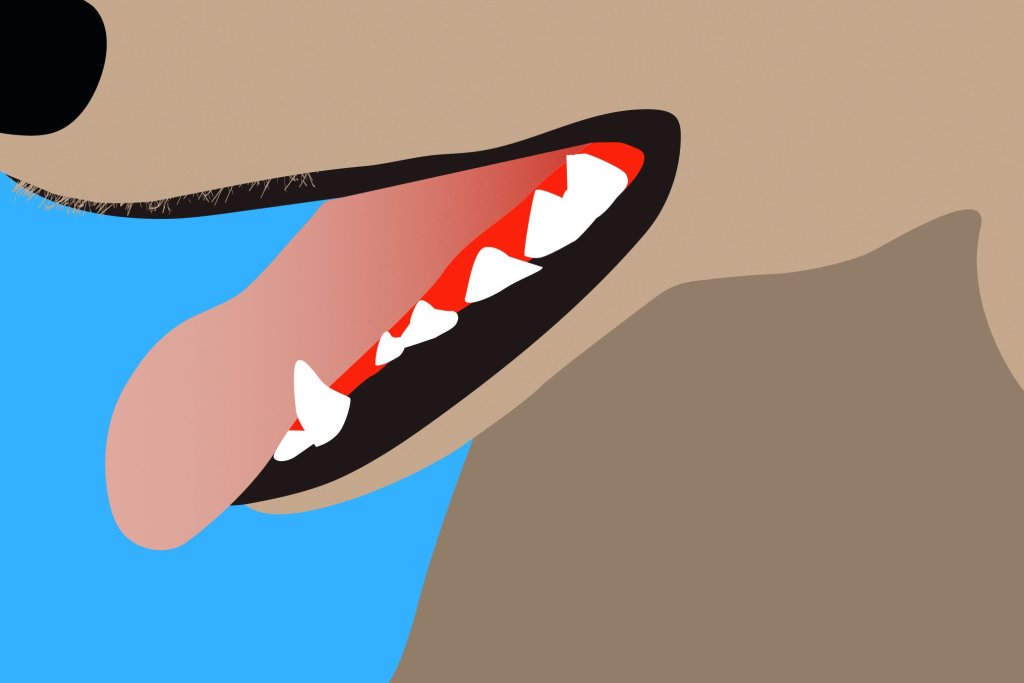 Wirecutter illustration of a dog's mouth